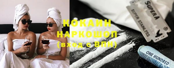 крисы Баксан