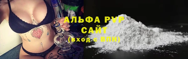 крисы Баксан