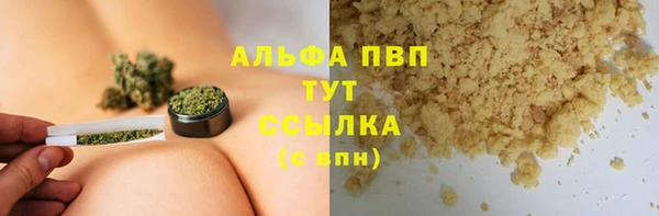 крисы Баксан