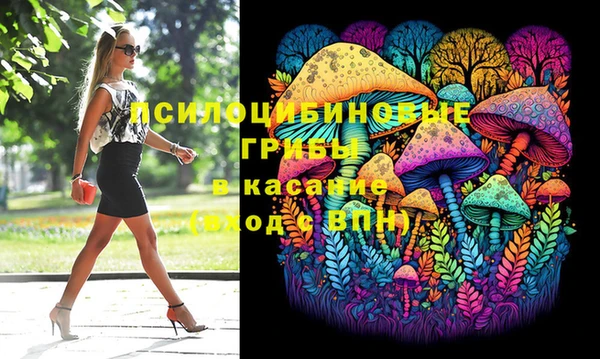 твердый Нязепетровск