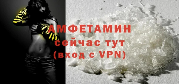 крисы Баксан